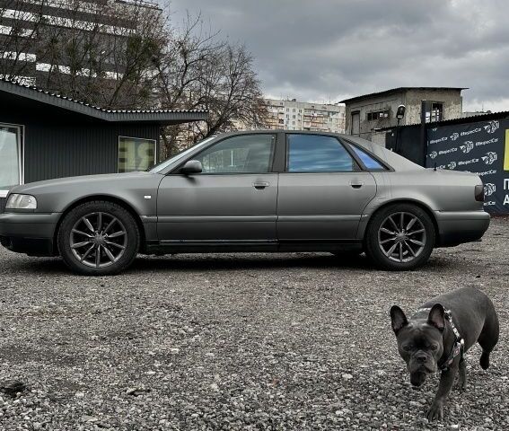 Сірий Ауді A8, об'ємом двигуна 4.2 л та пробігом 388 тис. км за 4250 $, фото 5 на Automoto.ua