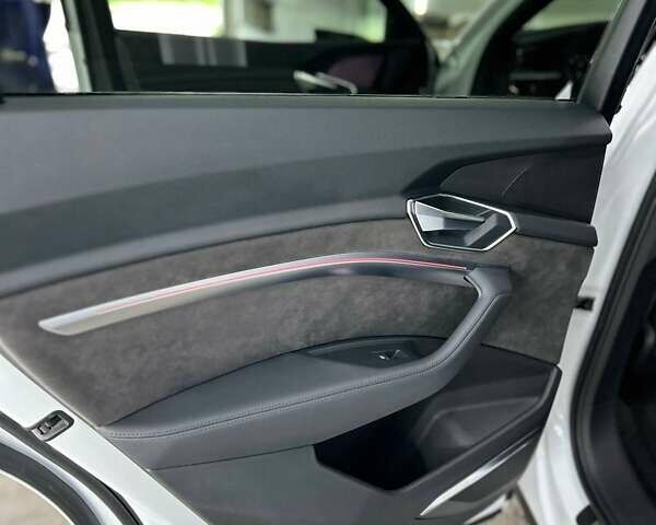 Белый Ауди E-Tron, объемом двигателя 0 л и пробегом 189 тыс. км за 28000 $, фото 23 на Automoto.ua
