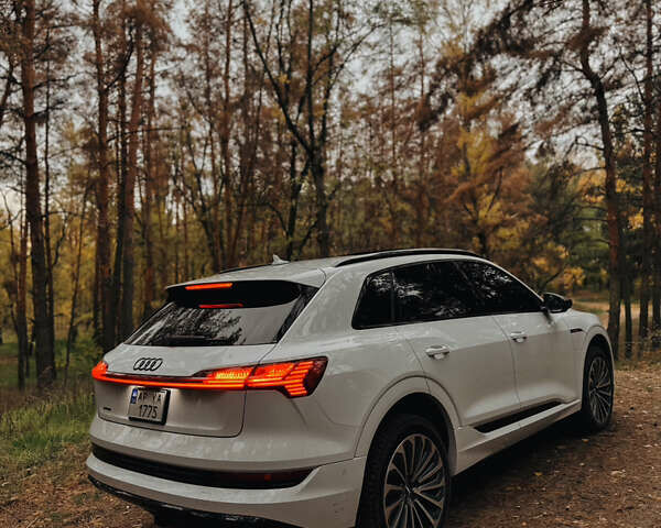 Белый Ауди E-Tron, объемом двигателя 0 л и пробегом 106 тыс. км за 32000 $, фото 4 на Automoto.ua