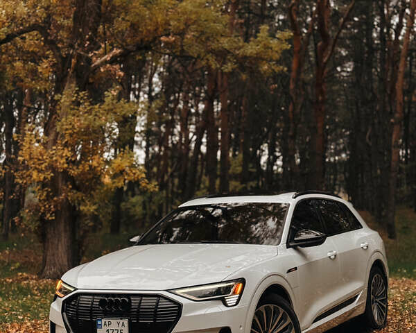 Белый Ауди E-Tron, объемом двигателя 0 л и пробегом 106 тыс. км за 32000 $, фото 10 на Automoto.ua