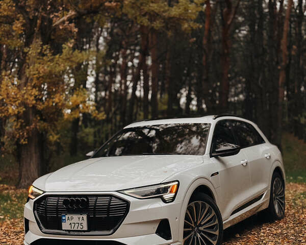 Белый Ауди E-Tron, объемом двигателя 0 л и пробегом 106 тыс. км за 32000 $, фото 8 на Automoto.ua