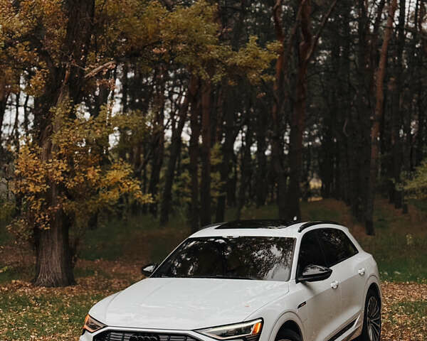 Белый Ауди E-Tron, объемом двигателя 0 л и пробегом 106 тыс. км за 32000 $, фото 14 на Automoto.ua