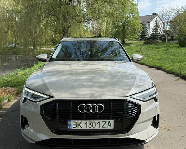Бежевый Ауди E-Tron, объемом двигателя 0 л и пробегом 49 тыс. км за 34500 $, фото 21 на Automoto.ua