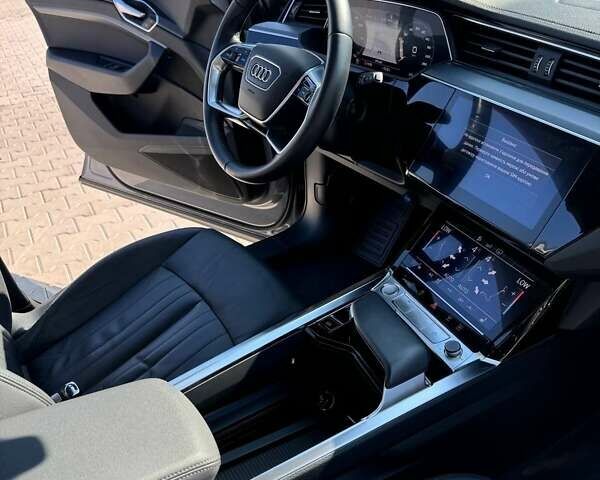 Серый Ауди E-Tron, объемом двигателя 0 л и пробегом 141 тыс. км за 27900 $, фото 56 на Automoto.ua