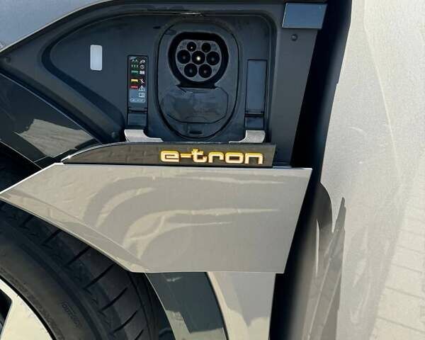 Серый Ауди E-Tron, объемом двигателя 0 л и пробегом 141 тыс. км за 27900 $, фото 9 на Automoto.ua