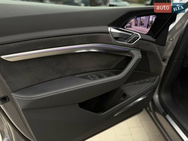 Серый Ауди E-Tron, объемом двигателя 0 л и пробегом 248 тыс. км за 26100 $, фото 21 на Automoto.ua