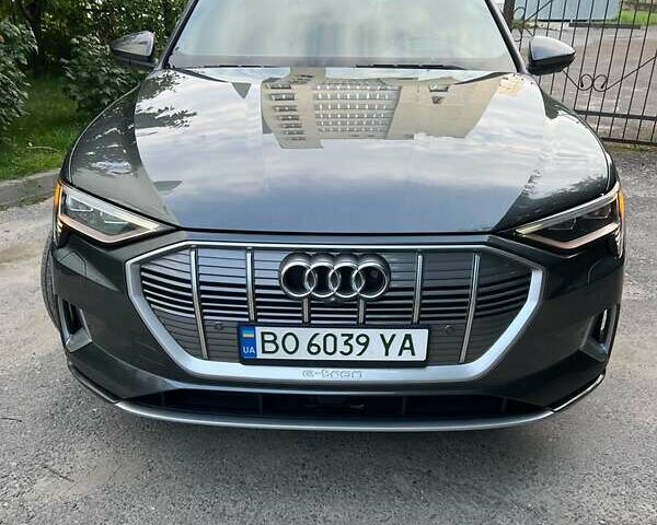 Серый Ауди E-Tron, объемом двигателя 0 л и пробегом 159 тыс. км за 25800 $, фото 7 на Automoto.ua