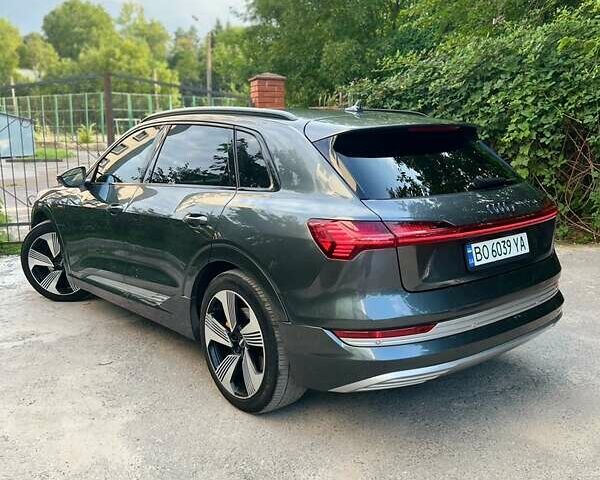 Серый Ауди E-Tron, объемом двигателя 0 л и пробегом 159 тыс. км за 25800 $, фото 10 на Automoto.ua