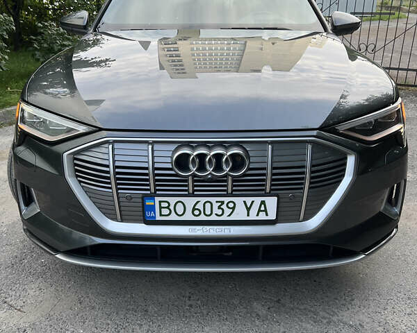 Серый Ауди E-Tron, объемом двигателя 0 л и пробегом 159 тыс. км за 25800 $, фото 6 на Automoto.ua