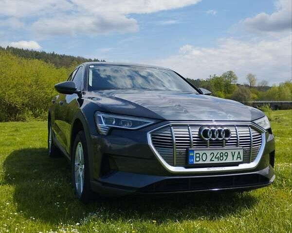 Серый Ауди E-Tron, объемом двигателя 0 л и пробегом 77 тыс. км за 33100 $, фото 16 на Automoto.ua