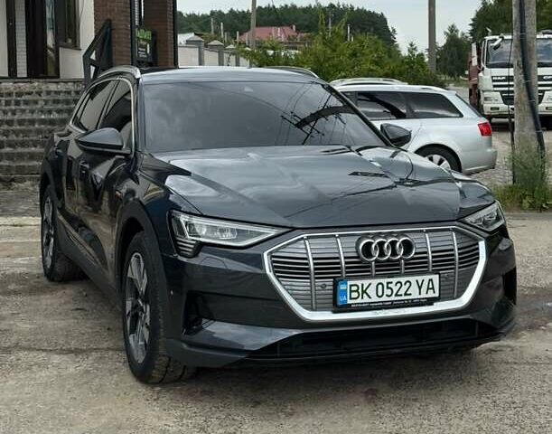 Сірий Ауді E-Tron, об'ємом двигуна 0 л та пробігом 50 тис. км за 33900 $, фото 1 на Automoto.ua