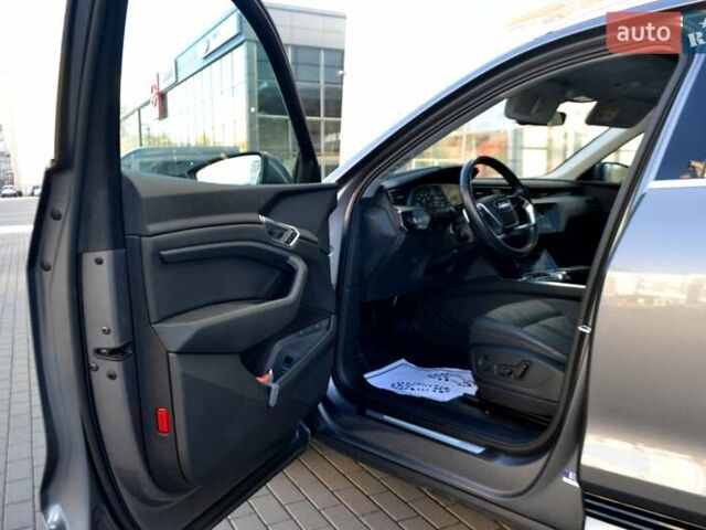 Серый Ауди E-Tron, объемом двигателя 0 л и пробегом 125 тыс. км за 23800 $, фото 15 на Automoto.ua