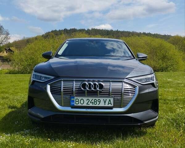 Серый Ауди E-Tron, объемом двигателя 0 л и пробегом 77 тыс. км за 33100 $, фото 15 на Automoto.ua