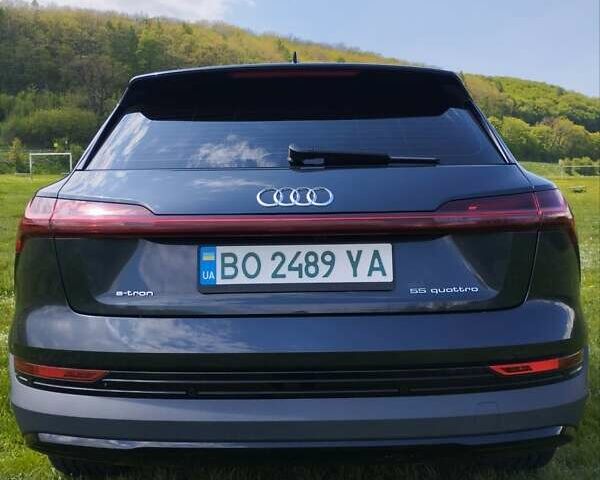 Серый Ауди E-Tron, объемом двигателя 0 л и пробегом 77 тыс. км за 33100 $, фото 1 на Automoto.ua
