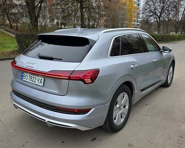 Серый Ауди E-Tron, объемом двигателя 0 л и пробегом 90 тыс. км за 36500 $, фото 10 на Automoto.ua