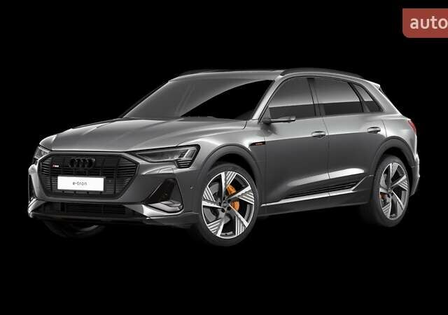 Сірий Ауді E-Tron, об'ємом двигуна 0 л та пробігом 100 тис. км за 41888 $, фото 120 на Automoto.ua