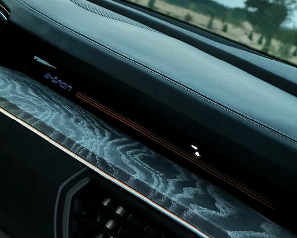 Серый Ауди E-Tron, объемом двигателя 0 л и пробегом 63 тыс. км за 40999 $, фото 53 на Automoto.ua