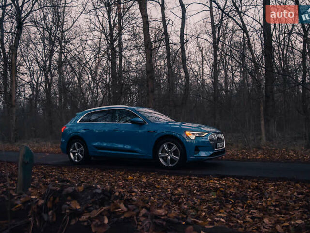 Синий Ауди E-Tron, объемом двигателя 0 л и пробегом 62 тыс. км за 32900 $, фото 11 на Automoto.ua