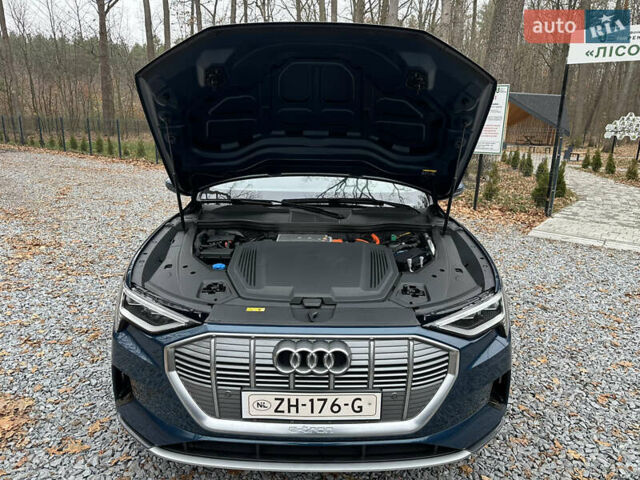 Синій Ауді E-Tron, об'ємом двигуна 0 л та пробігом 165 тис. км за 25900 $, фото 59 на Automoto.ua