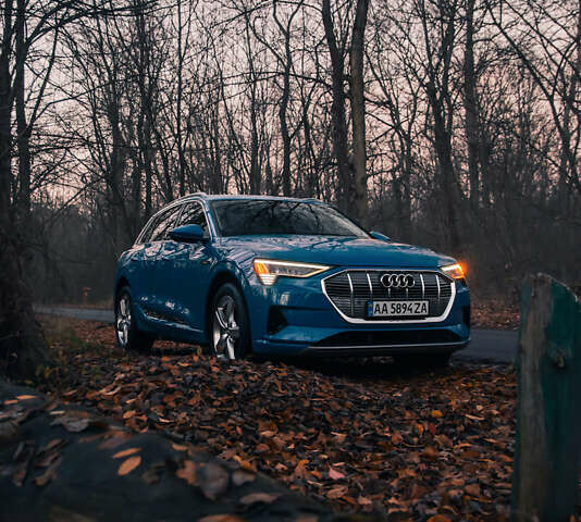 Синий Ауди E-Tron, объемом двигателя 0 л и пробегом 62 тыс. км за 32900 $, фото 8 на Automoto.ua