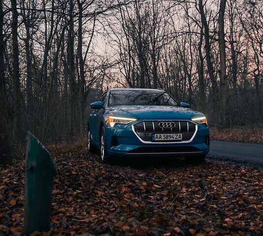 Синий Ауди E-Tron, объемом двигателя 0 л и пробегом 62 тыс. км за 32900 $, фото 9 на Automoto.ua