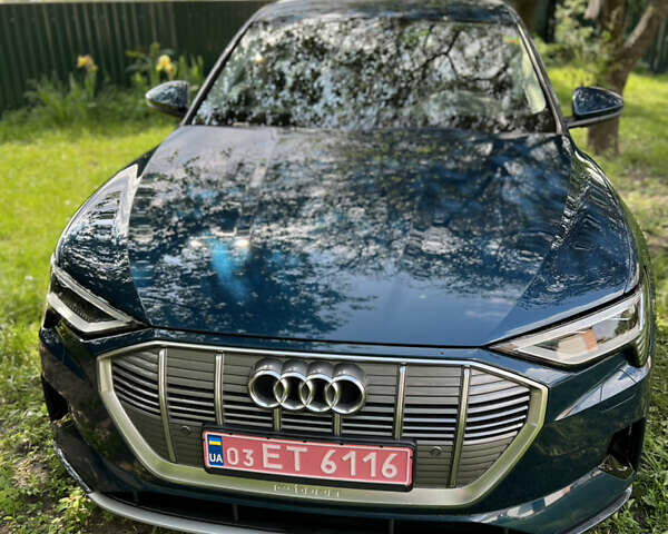 Синий Ауди E-Tron, объемом двигателя 0 л и пробегом 175 тыс. км за 24444 $, фото 5 на Automoto.ua