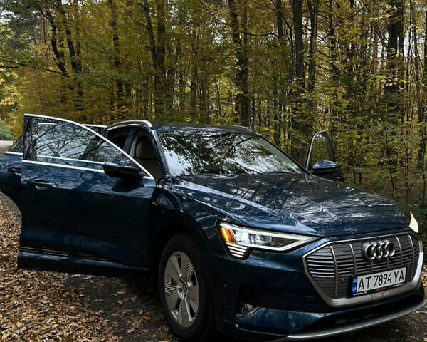 Синий Ауди E-Tron, объемом двигателя 0 л и пробегом 59 тыс. км за 33900 $, фото 11 на Automoto.ua