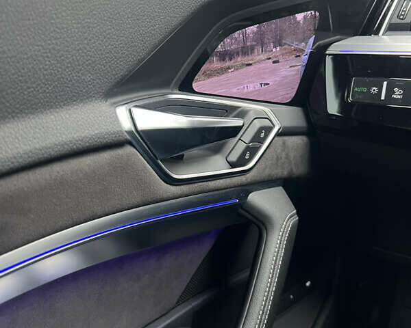 Синий Ауди E-Tron, объемом двигателя 0 л и пробегом 150 тыс. км за 28500 $, фото 11 на Automoto.ua