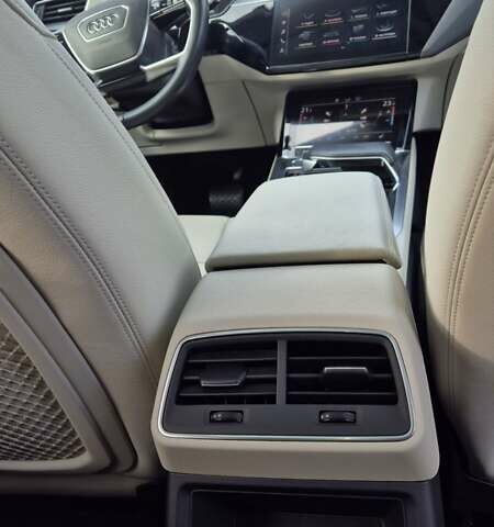 Ауди E-Tron 2020 в Днепре (Днепропетровске) на Automoto.ua Синий Ауди E-Tron, объемом двигателя 0 л и пробегом 47 тыс. км за 36000 $, фото 20 на Automoto.ua