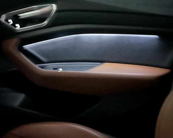 Синий Ауди E-Tron, объемом двигателя 0 л и пробегом 52 тыс. км за 31800 $, фото 17 на Automoto.ua