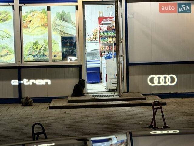 Синий Ауди E-Tron, объемом двигателя 0 л и пробегом 44 тыс. км за 46600 $, фото 72 на Automoto.ua