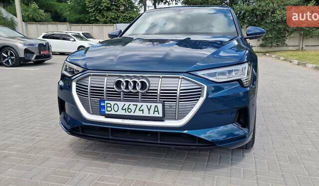 Синий Ауди E-Tron, объемом двигателя 0 л и пробегом 39 тыс. км за 36500 $, фото 7 на Automoto.ua