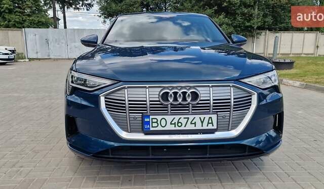 Синий Ауди E-Tron, объемом двигателя 0 л и пробегом 39 тыс. км за 36500 $, фото 8 на Automoto.ua
