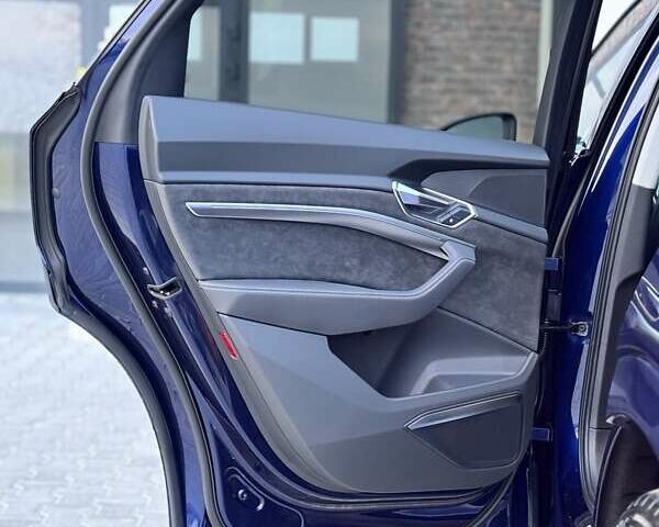 Синий Ауди E-Tron, объемом двигателя 0 л и пробегом 52 тыс. км за 37500 $, фото 92 на Automoto.ua