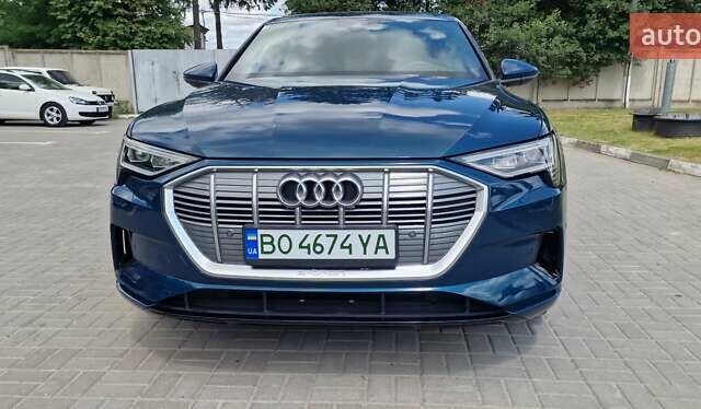 Синий Ауди E-Tron, объемом двигателя 0 л и пробегом 39 тыс. км за 36500 $, фото 6 на Automoto.ua