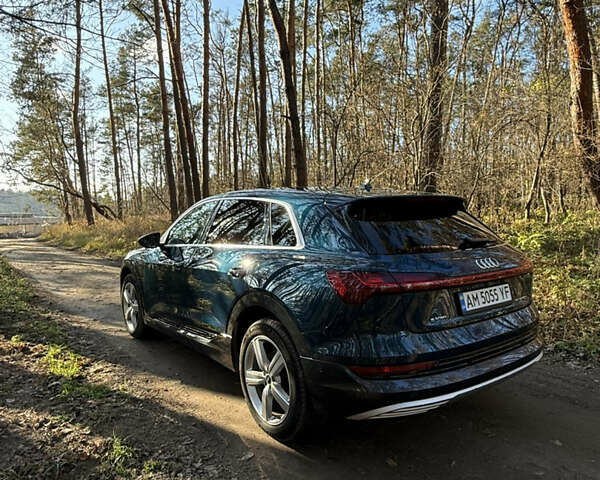 Синий Ауди E-Tron, объемом двигателя 0 л и пробегом 99 тыс. км за 32000 $, фото 5 на Automoto.ua