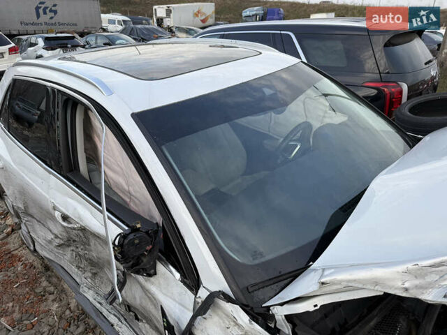 Белый Ауди Ку3, объемом двигателя 2 л и пробегом 50 тыс. км за 10500 $, фото 1 на Automoto.ua