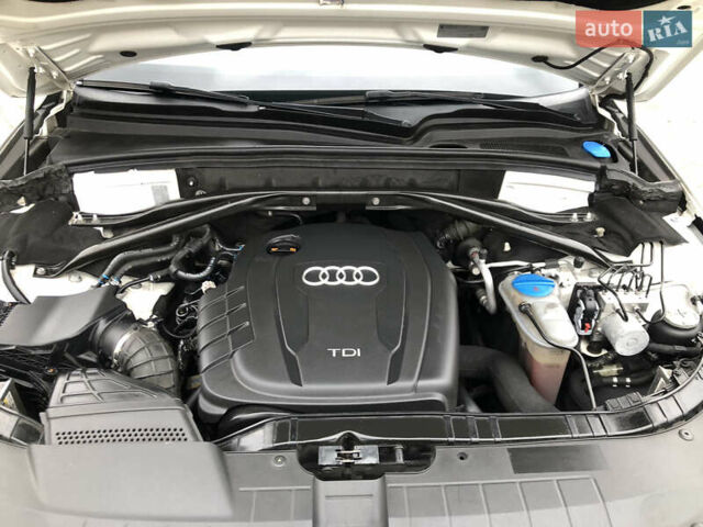 Белый Ауди Ку 5, объемом двигателя 0 л и пробегом 340 тыс. км за 14500 $, фото 27 на Automoto.ua