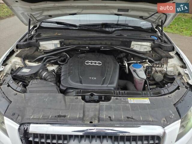 Белый Ауди Ку 5, объемом двигателя 1.97 л и пробегом 272 тыс. км за 9900 $, фото 13 на Automoto.ua