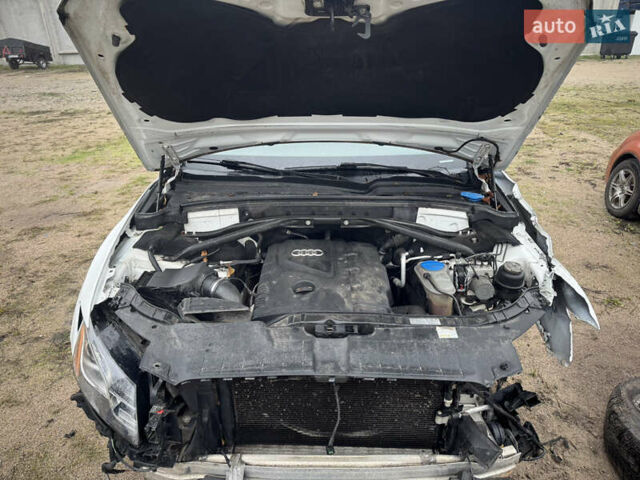 Белый Ауди Ку 5, объемом двигателя 1.98 л и пробегом 220 тыс. км за 7300 $, фото 49 на Automoto.ua