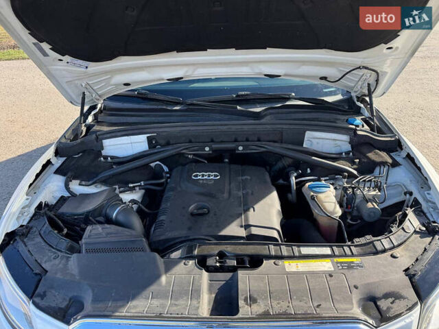 Ауди Ку 5 2014 в Житомире на Automoto.ua Белый Ауди Ку 5, объемом двигателя 1.98 л и пробегом 256 тыс. км за 15700 $, фото 11 на Automoto.ua