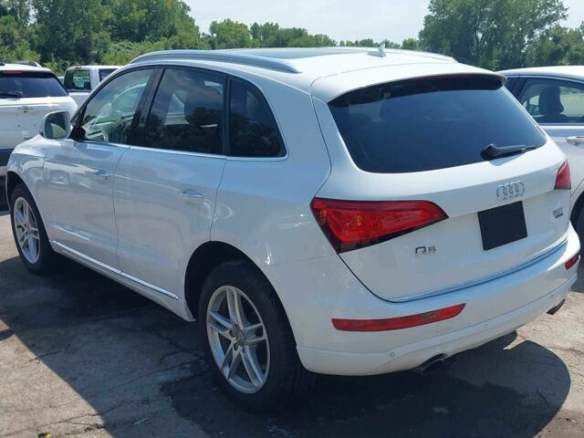 Белый Ауди Ку 5, объемом двигателя 0 л и пробегом 38 тыс. км за 14900 $, фото 1 на Automoto.ua