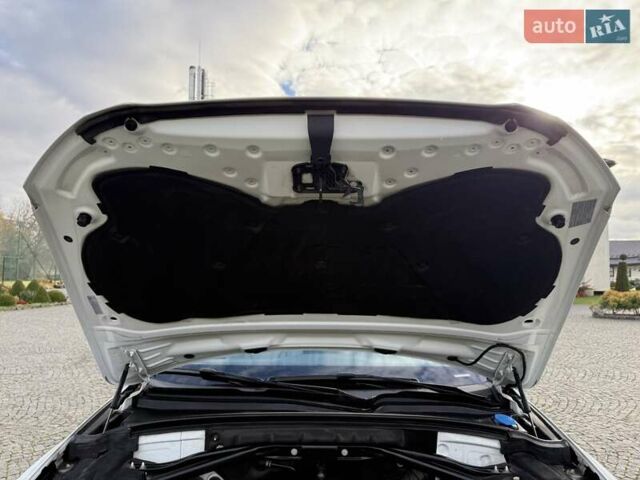 Ауді Ку 5 2017 у Львові на Automoto.ua Білий Ауді Ку 5, об'ємом двигуна 1.98 л та пробігом 147 тис. км за 17499 $, фото 95 на Automoto.ua