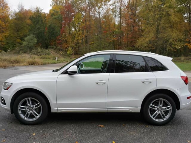 Білий Ауді Ку 5, об'ємом двигуна 2 л та пробігом 64 тис. км за 12500 $, фото 3 на Automoto.ua