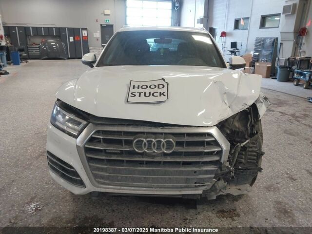 Белый Ауди Ку 5, объемом двигателя 2 л и пробегом 131 тыс. км за 18500 $, фото 1 на Automoto.ua