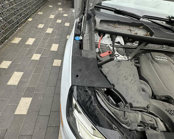 Ауди Ку 5 2019 в Тернополе на Automoto.ua Белый Ауди Ку 5, объемом двигателя 2 л и пробегом 83 тыс. км за 27000 $, фото 21 на Automoto.ua