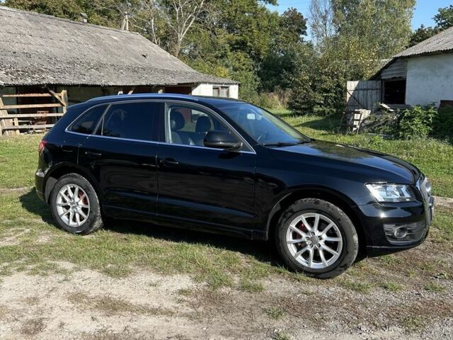 Ауди Ку 5 2010 в Радехове на Automoto.ua Черный Ауди Ку 5, объемом двигателя 2 л и пробегом 282 тыс. км за 9999 $, фото 5 на Automoto.ua