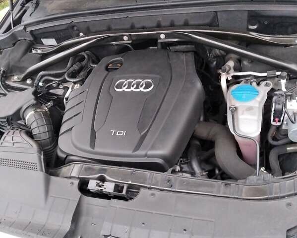 Ауди Ку 5 2012 в Ужгороде на Automoto.ua Черный Ауди Ку 5, объемом двигателя 2 л и пробегом 175 тыс. км за 17000 $, фото 49 на Automoto.ua