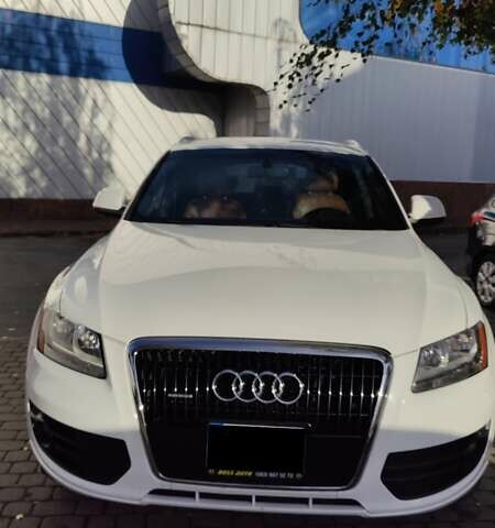 Ауди Ку 5, объемом двигателя 3.2 л и пробегом 202 тыс. км за 11500 $, фото 1 на Automoto.ua