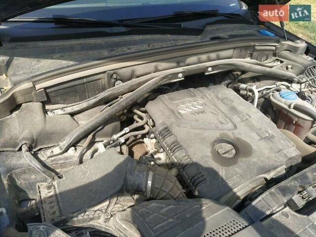 Ауди Ку 5, объемом двигателя 1.98 л и пробегом 202 тыс. км за 13500 $, фото 28 на Automoto.ua